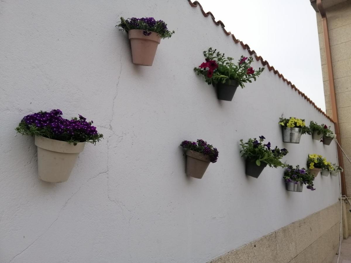 Casa Reibon Βίλα Σαντιάγο ντε Κομποστέλα Εξωτερικό φωτογραφία